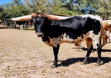 CR Trash's Tuff Times